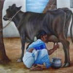 Tamil woman milking the Cow