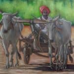 Bullock Cart